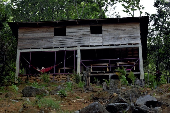 Catawba student searches for sloths in Panama, finds and studies snakes