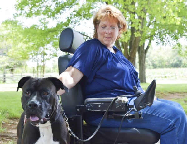 can dogs get multiple sclerosis