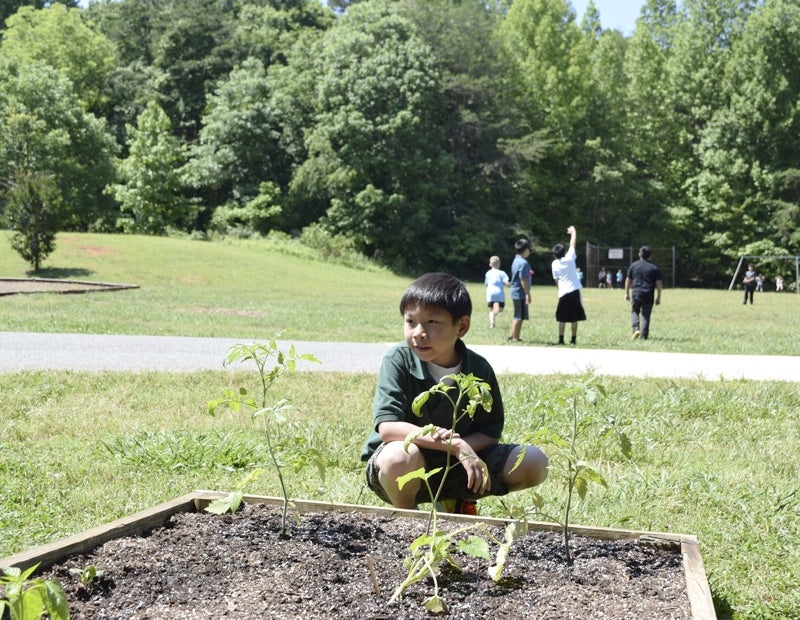 Growing green thumbs: China Grove Elementary starts garden - Salisbury ...