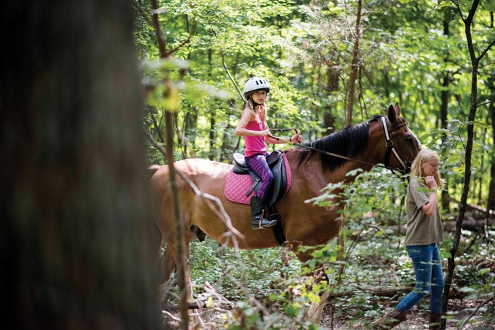 Long c horse outlet camp