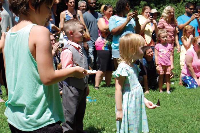 Butterfly royalty: Monarchs take to the sky at Hurley Park - Salisbury ...