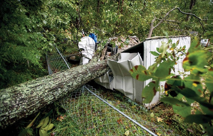 Tropical Storm Michael Upends Trees, Knocks Out Power To Thousands In 