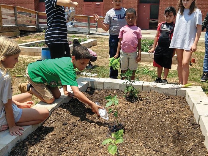 Hurley Elementary School recognized as Green School of Promise ...