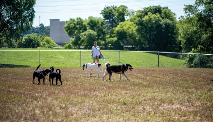 Woofstock 2024 dog park