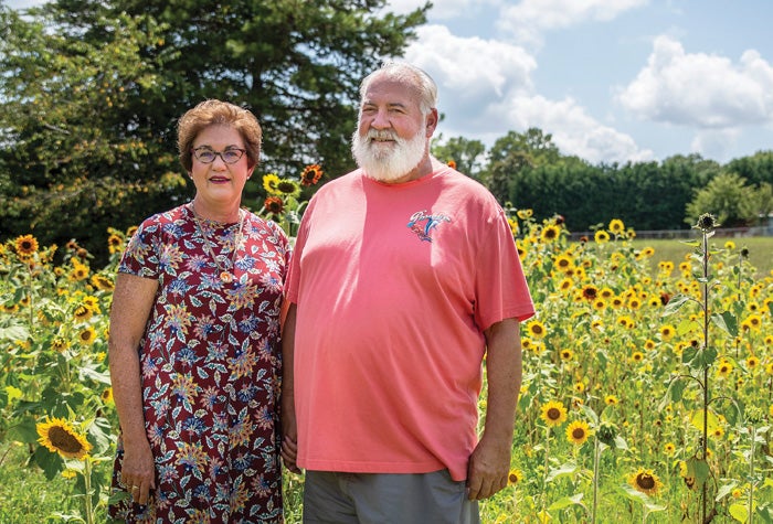 A 'field of her dreams': Man plants thousands of sunflowers to