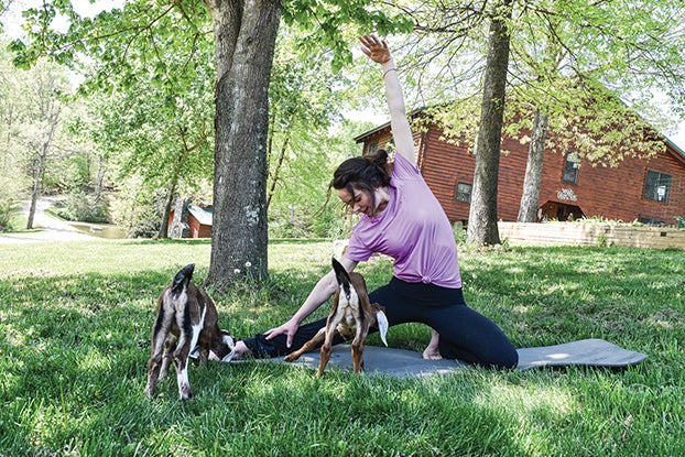 Goat Yoga Bobblehead, Steamed Cheeseburgers Among Yard Goats Promos