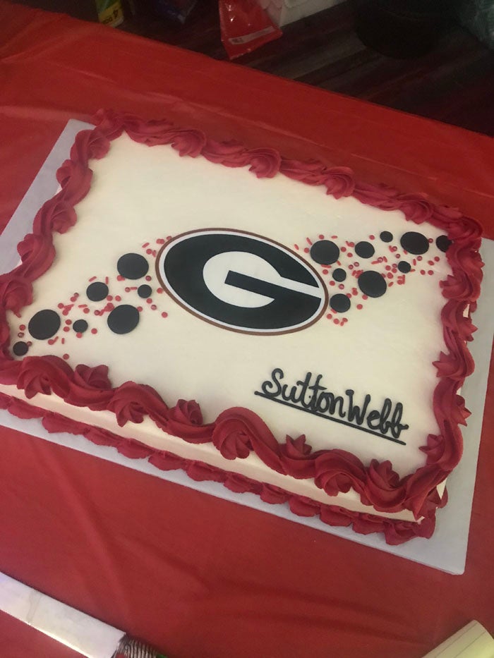 Georgia Bulldogs Cake 