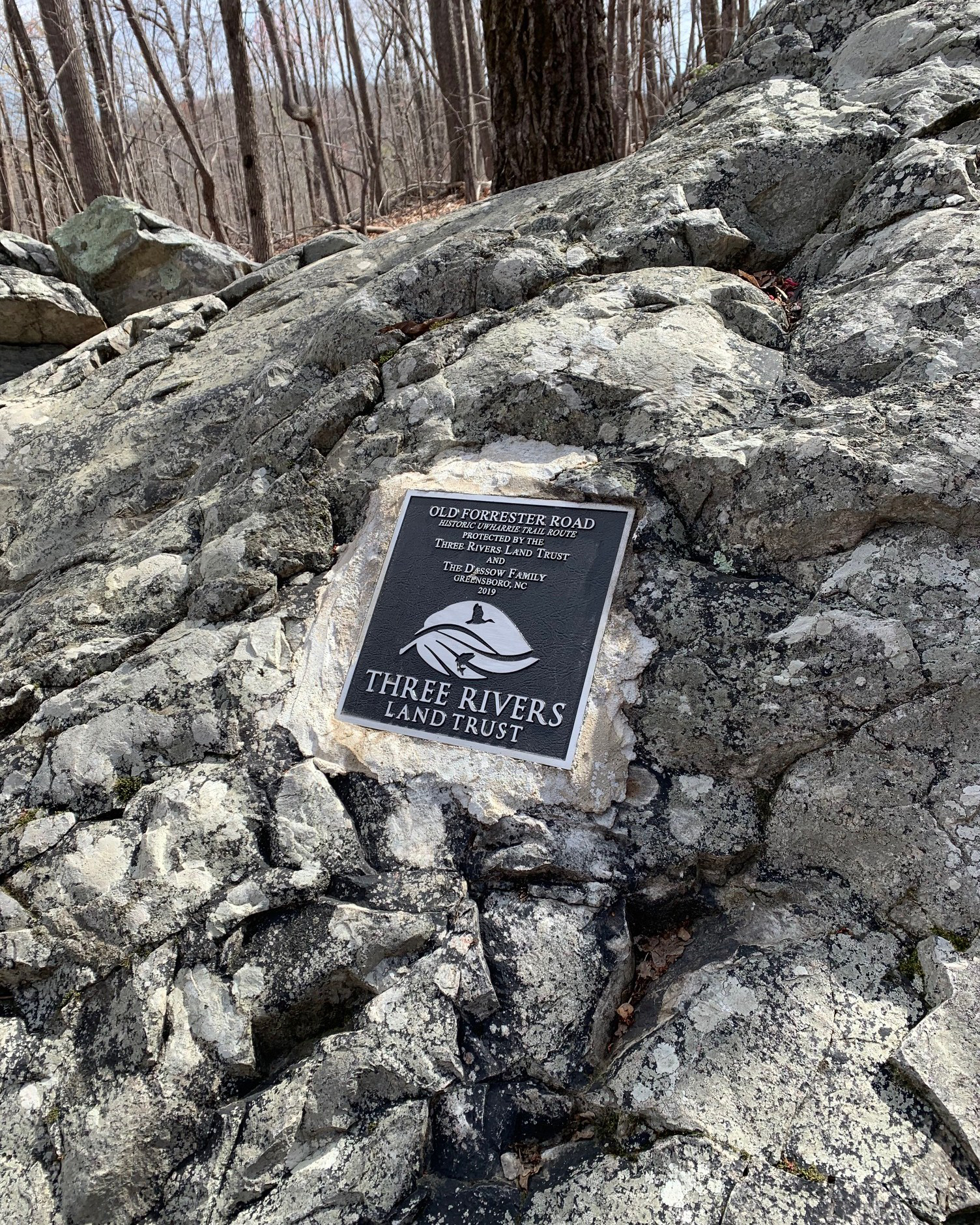 Three Rivers Land Trust transfers wilderness inholding to Uwharrie National Forest Salisbury Post Salisbury Post
