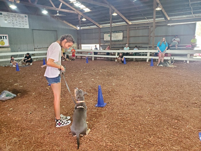 Laura Allen: Join the Playful Paws 4-H SPIN Club now – Salisbury Post