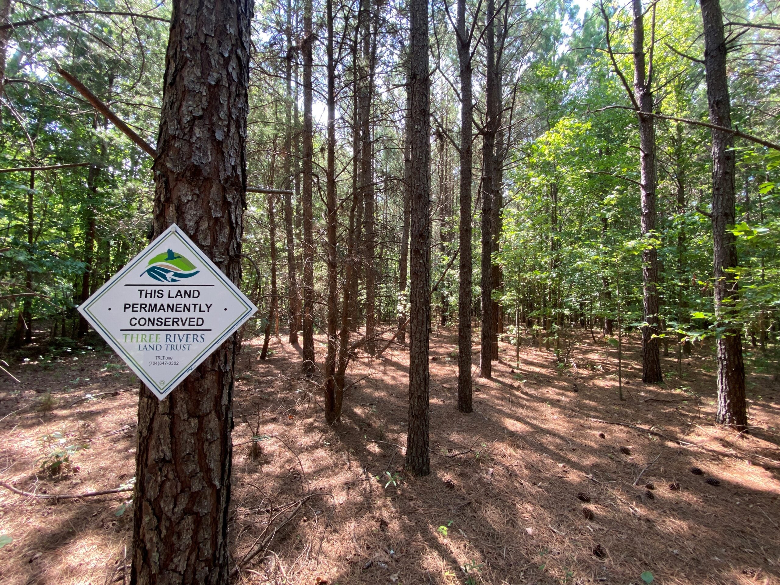 Three Rivers Land Trust protects 167 acres in Davidson County ...